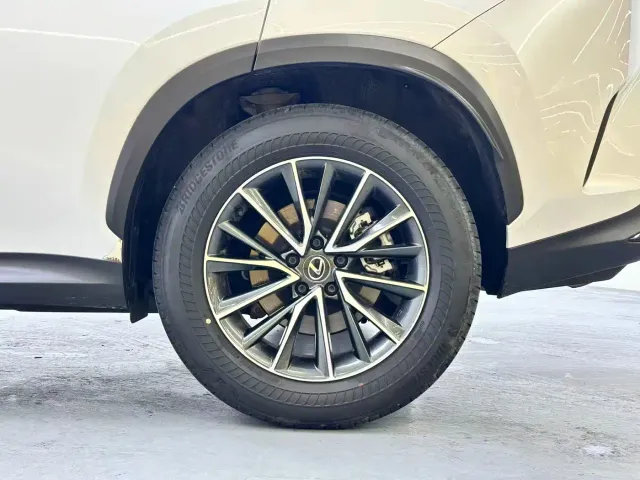 Lexus NX — Фото автомобиля 19