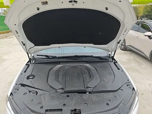 BYD Qin PLUS — Фото автомобиля 19