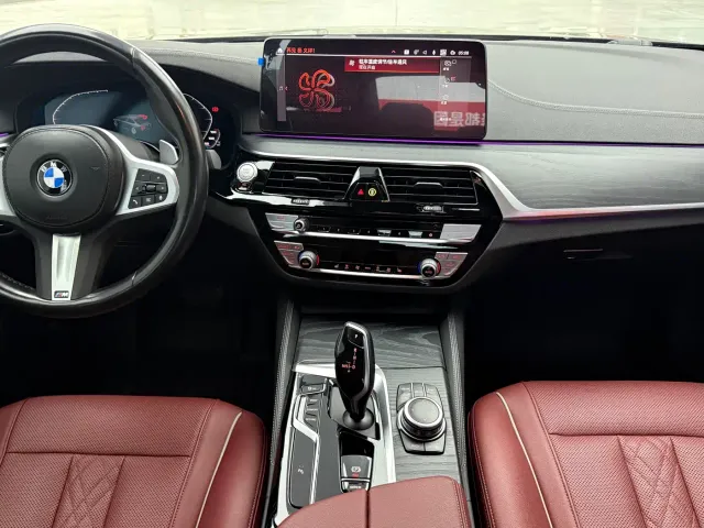 BMW 5 Series — Фото автомобиля 6