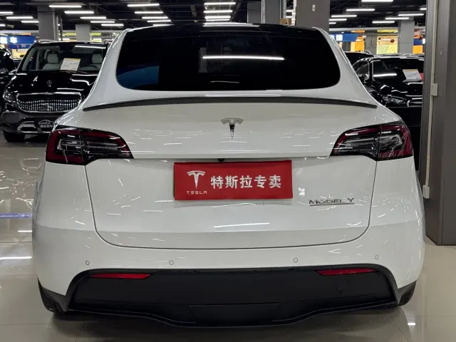 Tesla Model Y — Фото автомобиля 8
