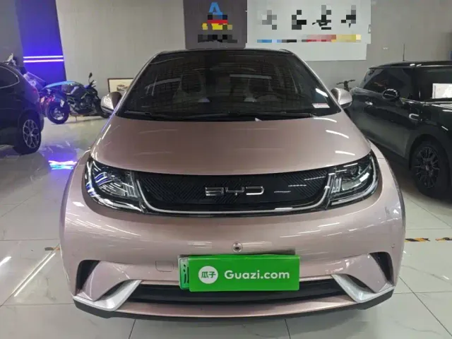 BYD Dolphin — Фото автомобиля 2