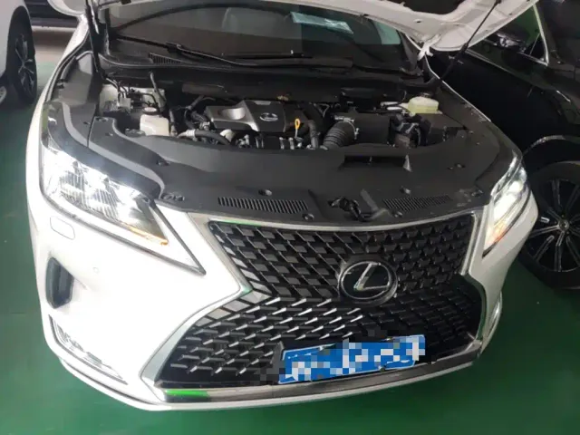 Lexus RX — Фото автомобиля 19