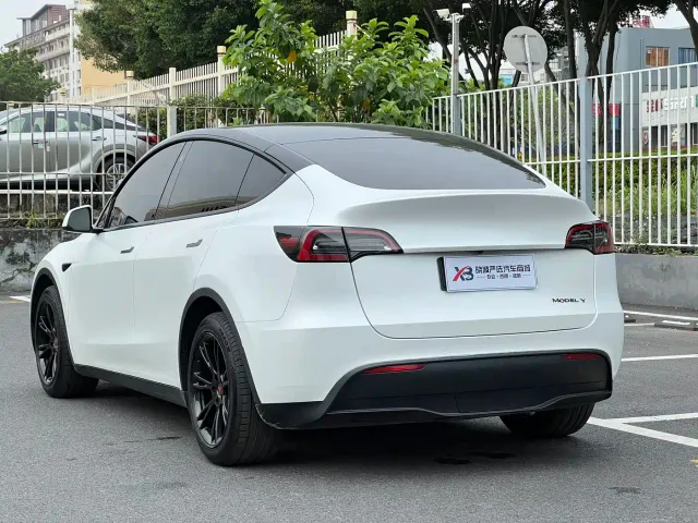 Tesla Model Y 2021 Standard Range Rear-Wheel Drive — Фото автомобиля 7