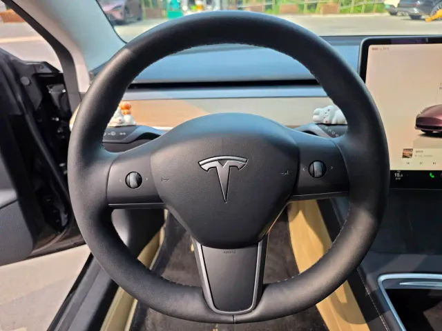 Tesla Model 3 — Фото автомобиля 10