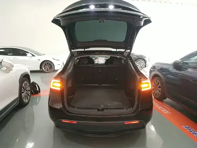 Tesla Model Y — Фото автомобиля 18