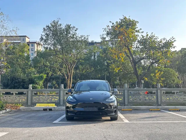 Tesla Model Y — Фото автомобиля 2