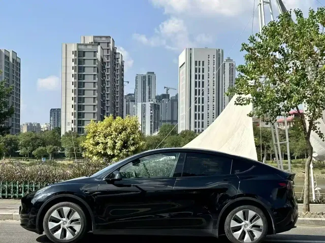 Tesla Model Y — Фото автомобиля 3