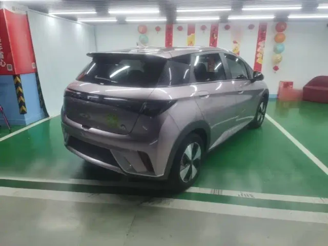 BYD Dolphin — Фото автомобиля 6
