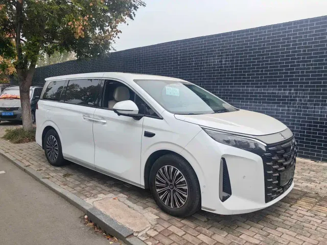 BYD Xia — Фото автомобиля 2