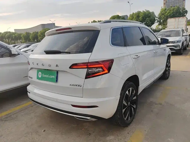 Skoda Karoq — Фото автомобиля 6