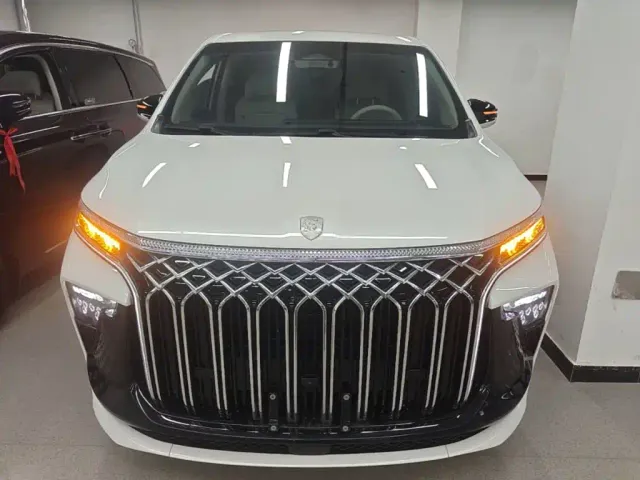 Forthing Xinghai V9 — Фото автомобиля 2