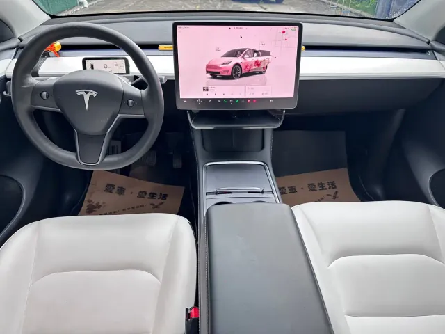 Tesla Model Y — Фото автомобиля 18