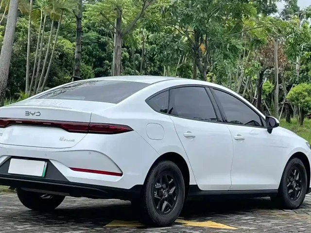 BYD Qin PLUS — Фото автомобиля 8