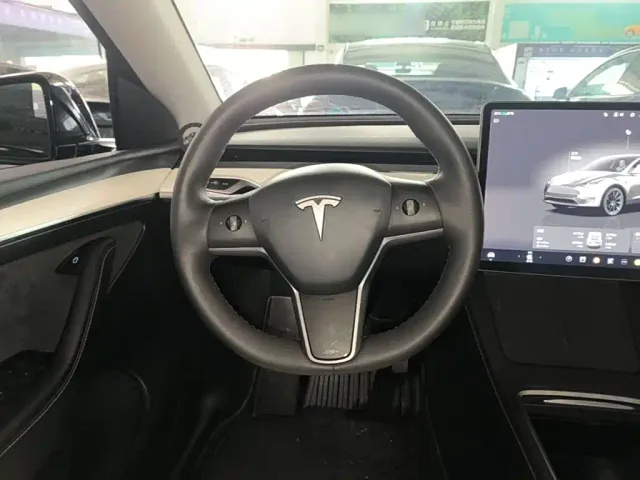 Tesla Model Y — Фото автомобиля 10