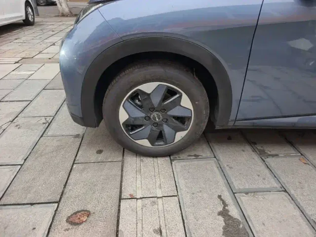BYD Dolphin — Фото автомобиля 22