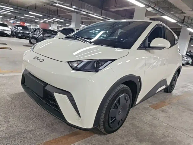 Фотография автомобиля — BYD Seagull