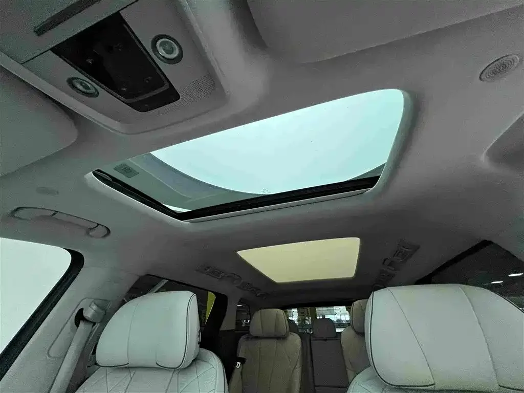 Denza Denza D9 2022 DM-i 970 AWD Flagship — Фото автомобиля 7