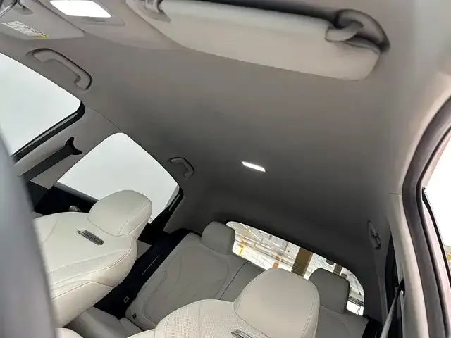 Geely Starry Wish — Фото автомобиля 14