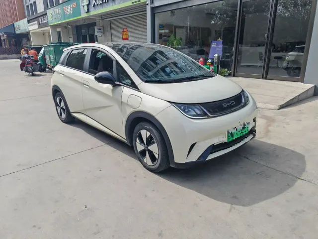 BYD Dolphin — Фото автомобиля 3