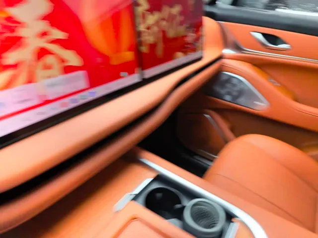 Wey Lanshan — Фото автомобиля 12
