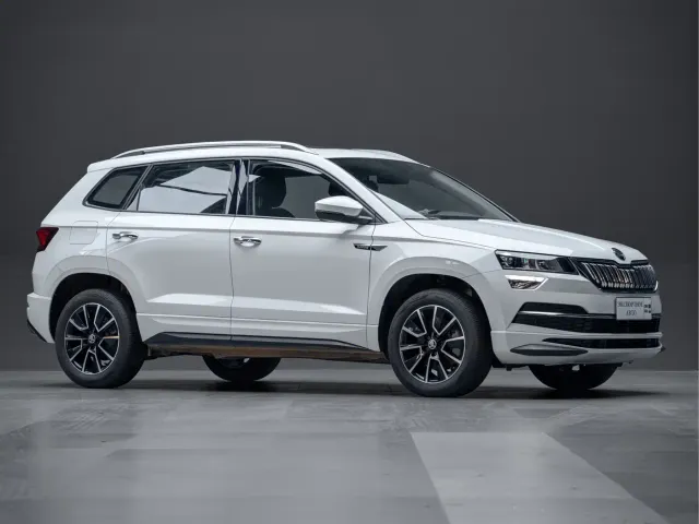 Skoda Karoq — Фото автомобиля 5
