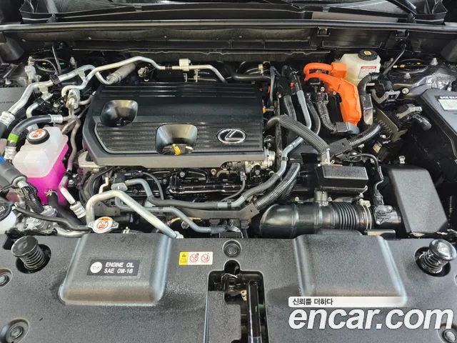 Lexus NX — Фото автомобиля 6