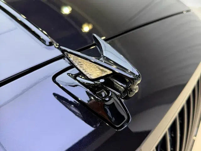 Bentley Flying Spur — Фото автомобиля 14