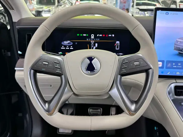 Denza N9 — Фото автомобиля 12