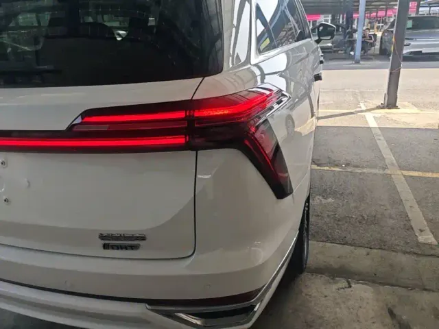 Wey Lanshan — Фото автомобиля 7