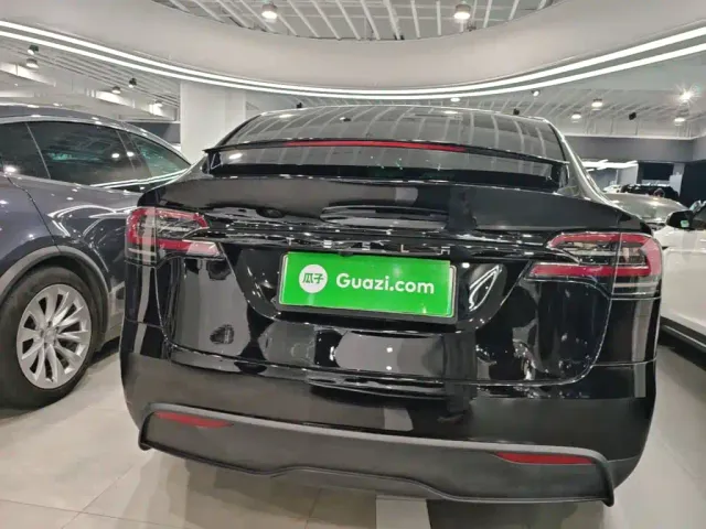 Tesla Model X — Фото автомобиля 3