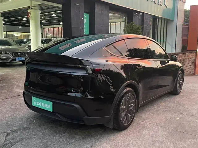 Tesla Model Y L — Фото автомобиля 11