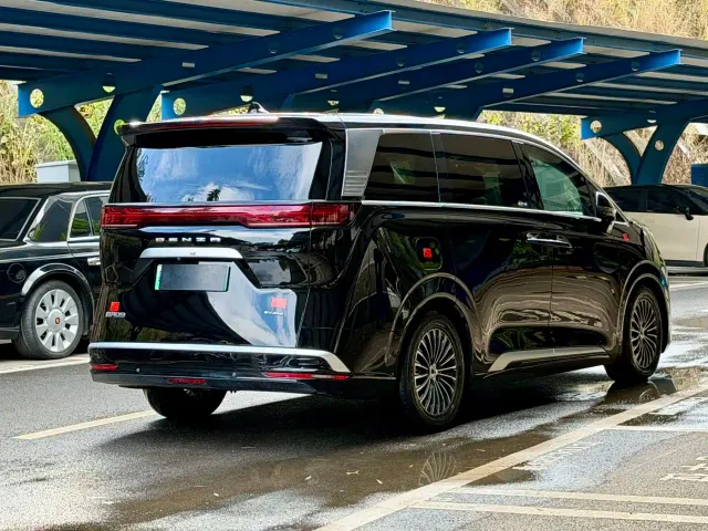 Denza D9 — Фото автомобиля 4