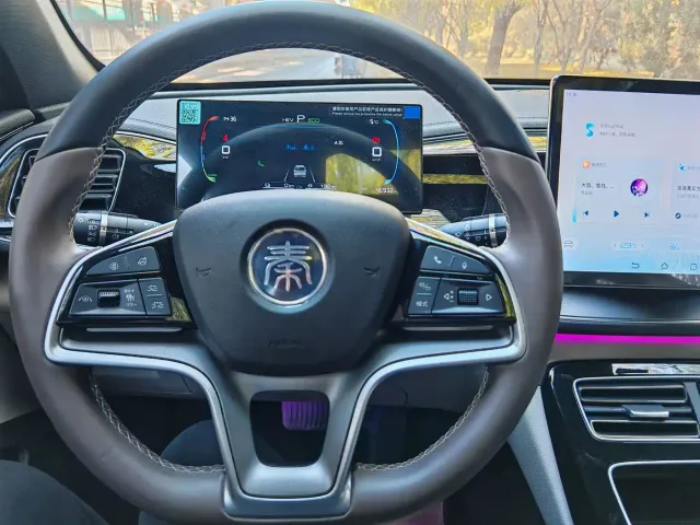 BYD Qin PLUS — Фото автомобиля 11