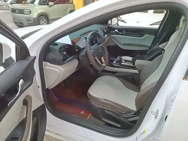 BYD Qin PLUS — Фото автомобиля 15