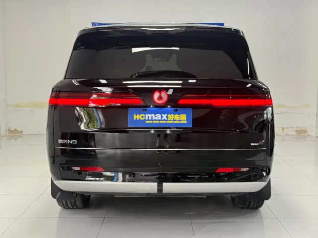 Denza N9 — Фото автомобиля 5