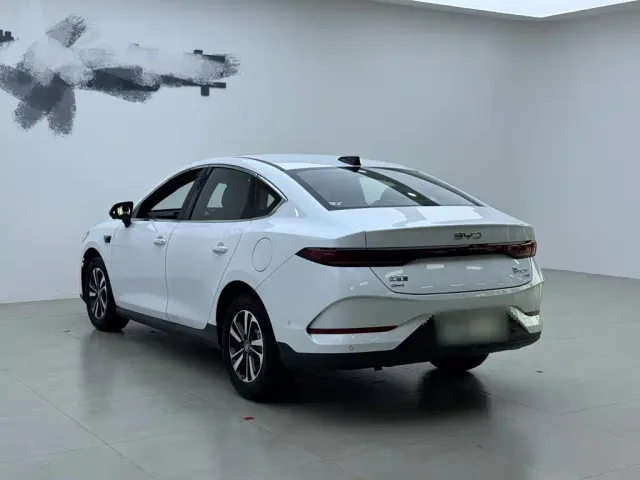 BYD Qin PLUS — Фото автомобиля 11