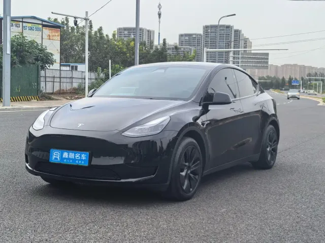 Tesla Model Y — Фото автомобиля 3