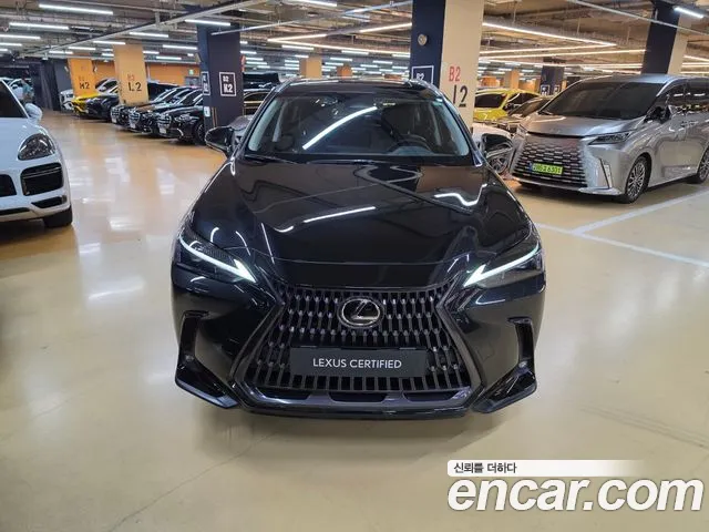 Lexus NX NX450h+ 2nd Gen — Фото автомобиля 3