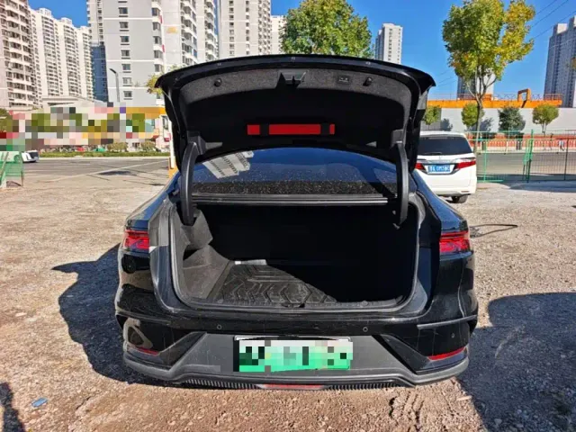 BYD Han — Фото автомобиля 18
