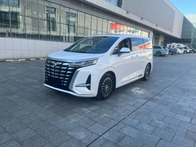 Фотография автомобиля — Denza D9