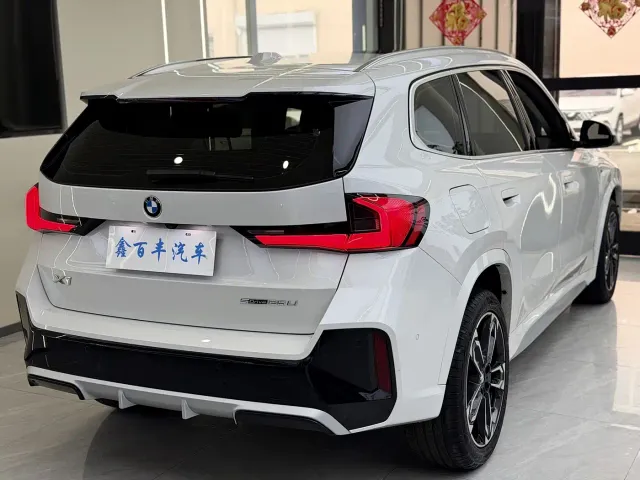 BMW X1 — Фото автомобиля 8