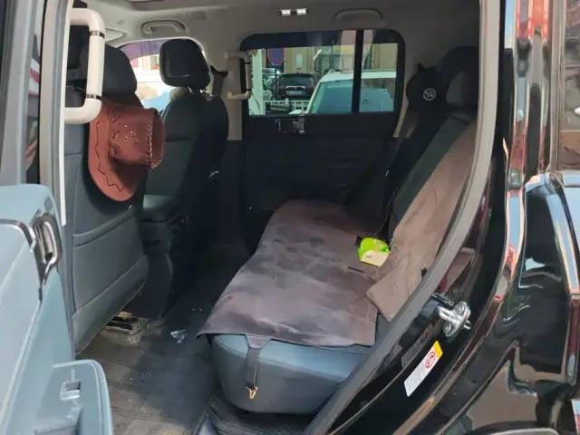 BYD FangChengBao Leopard 5 — Фото автомобиля 11
