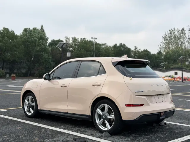 Ora Good Cat — Фото автомобиля 5