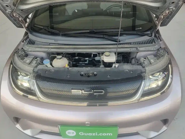 BYD Dolphin — Фото автомобиля 19
