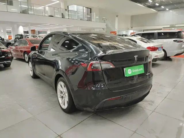 Tesla Model Y — Фото автомобиля 4