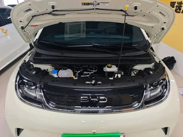 BYD Dolphin — Фото автомобиля 19