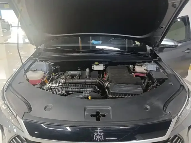 BYD Qin PLUS — Фото автомобиля 19