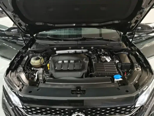 Volkswagen Passat — Фото автомобиля 19