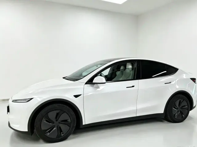 Tesla Model Y — Фото автомобиля 2