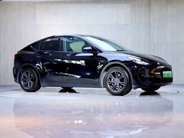 Tesla Model Y — Фото автомобиля 2